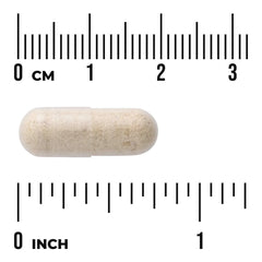 Yacon Root Extract - Featuring Yacontrol