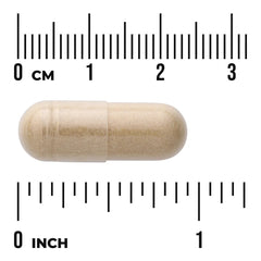 Ginger Root - Standardized and Whole Herb