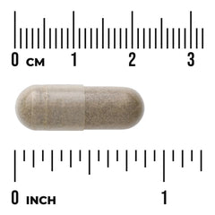 Holy Basil Extract - Standardized