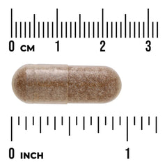 Robuvit French Oak Wood Extract