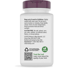 Echinacea Astragalus & Reishi