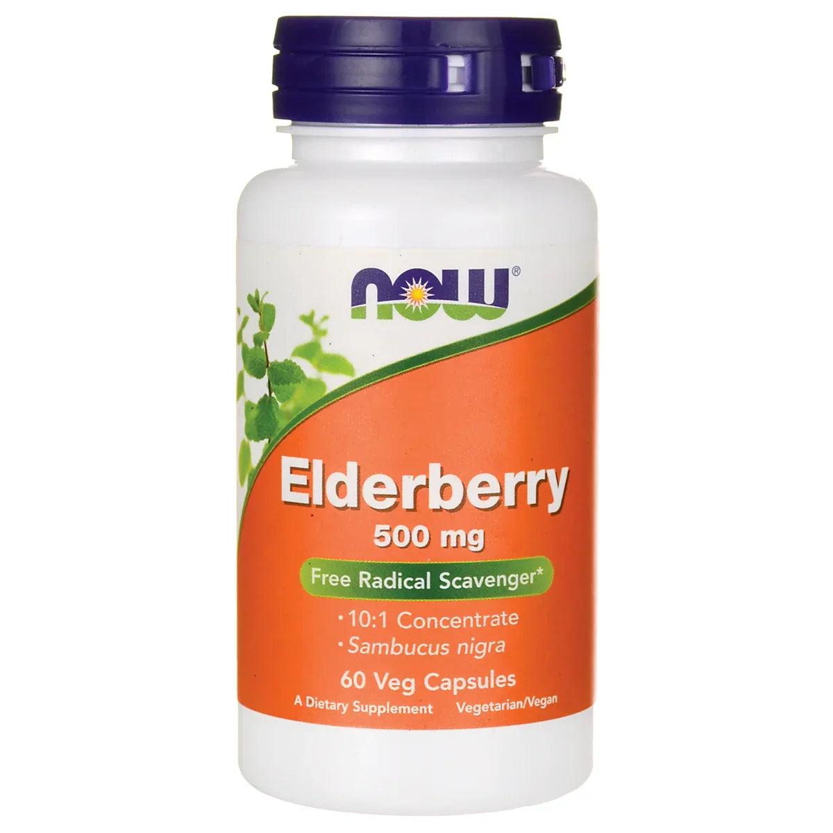 Elderberry