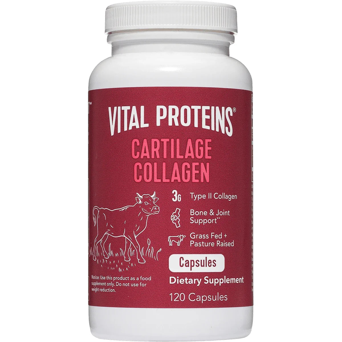 Cartilage Collagen