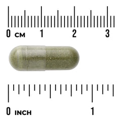 Full Spectrum Spinach Leaf