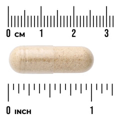 Full Spectrum Wild Yam