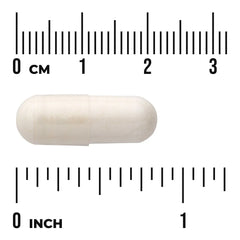 Pantothenic Acid